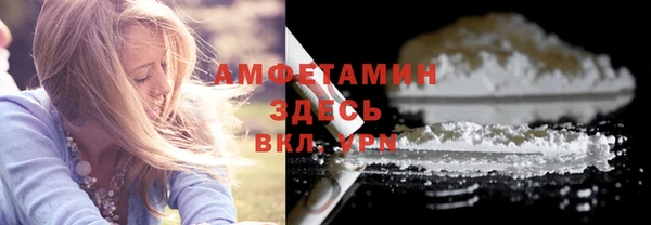 крисы Няндома
