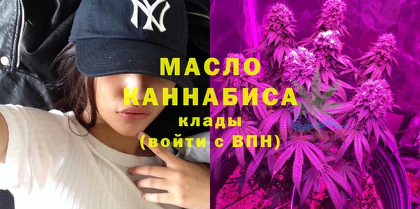 крисы Няндома