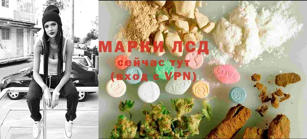 ПСИЛОЦИБИНОВЫЕ ГРИБЫ Гусиноозёрск