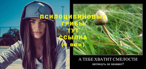прущий лед Нязепетровск