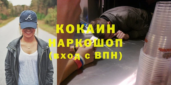 крисы Няндома