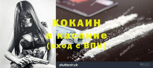 крисы Няндома