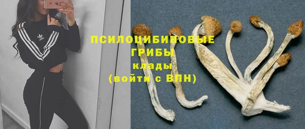 мяу мяу кристалл Нягань