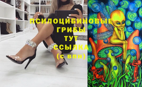 наркотики Новодвинск