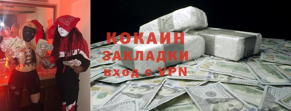 крисы Няндома