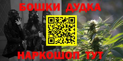 гашик Бийск