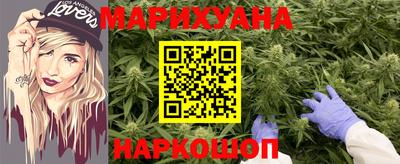 гашик Бийск