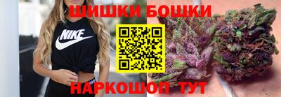гашик Бийск