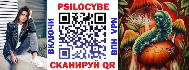 Псилоцибиновые грибы Psilocybine cubensis  купить наркотики сайты  Кингисепп 