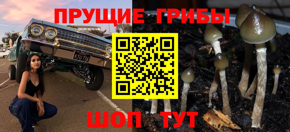 Кингисепп  Галлюциногенные грибы ЛСД  Вход с VPN 