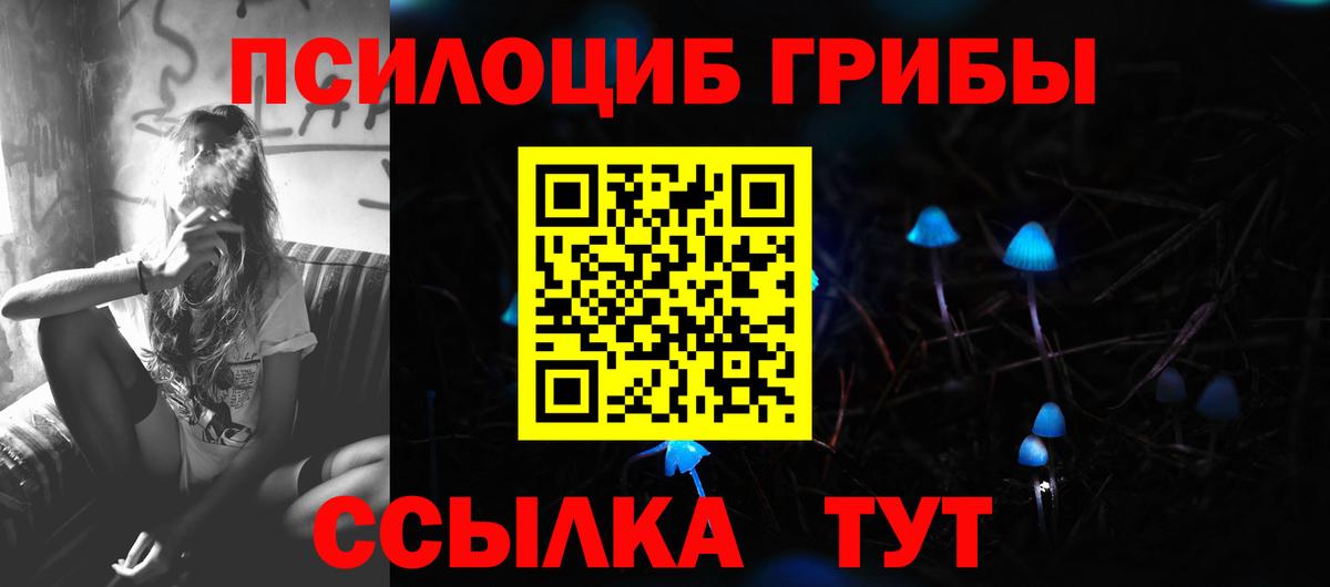 Псилоцибиновые грибы GOLDEN TEACHER  Кингисепп 